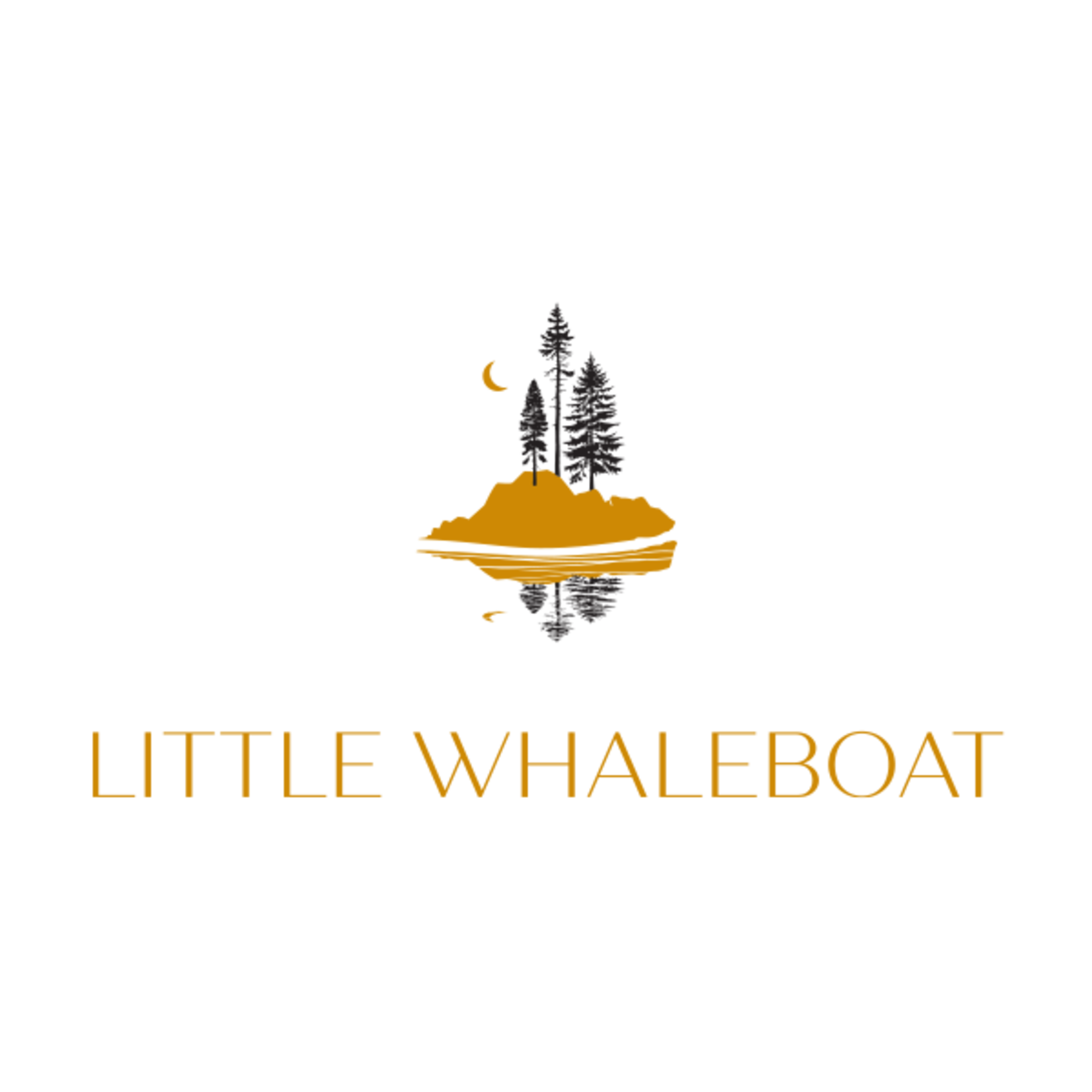 USA Maine Beer Co Little Whaleboat IPA