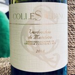 Italy 2022 ColleStefano Verdicchio di Matelica