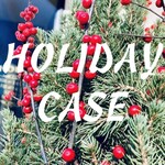 Holiday Case