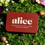 USA Alice Happy Ending Mushroom Chocolates