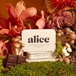 USA Alice Brainstorm Mushroom Chocolates