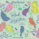 USA Mayflower Flock Together 4pk