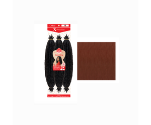 Outre springy 2024 afro twist 24