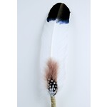 Monague Monague Smudging Feather "Ancestry" Large