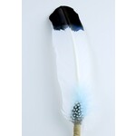 Monague Large Smudging Feather - Comfort