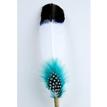 Monague Feather Smudging  "Wisdom" Large