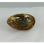 Bear's Den Bear's Den Abalone Shell Small