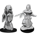 Wizkids D&D: Nolzur's Marvelous Miniatures 14: Night Hag & Dusk Hag