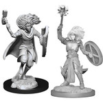 Wizkids D&D: Nolzur's Marvelous Miniatures 14: Male Changeling Cleric