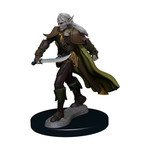 Wizkids Pathfinder Premium Figures: Elf Fighter Male