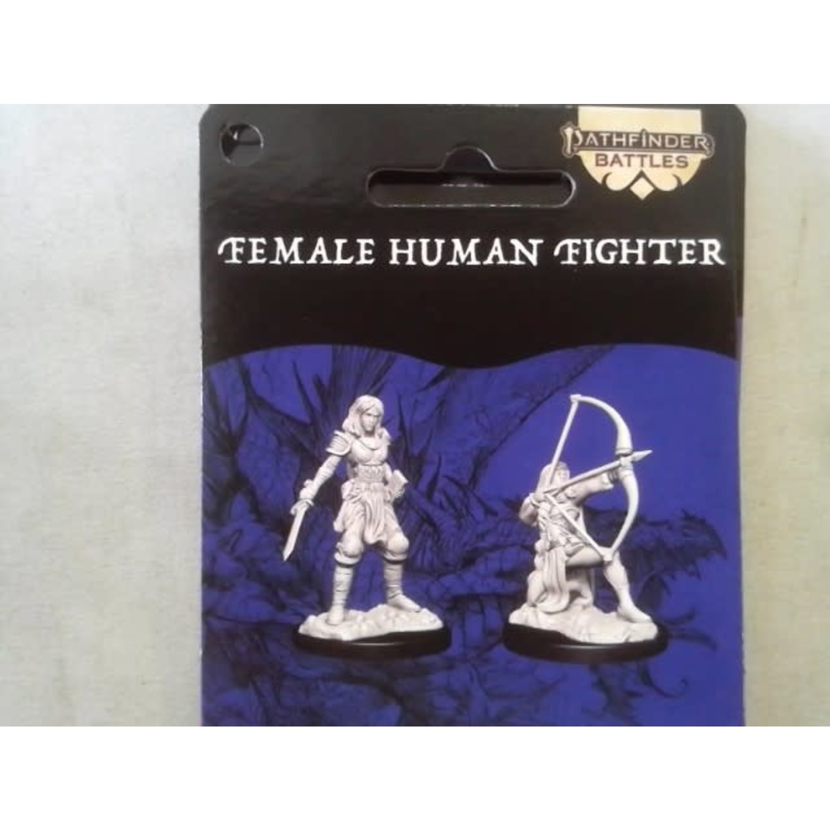 Wizkids Pathfinder Deep Cuts 15: Female Human Fighter