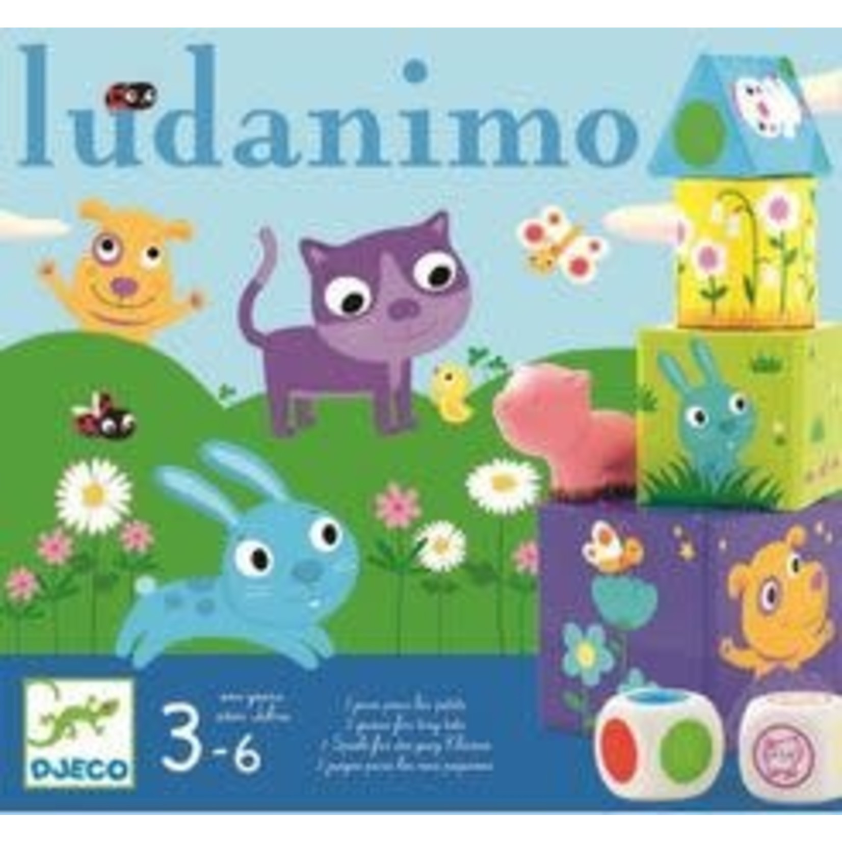 Djeco Games Ludanimo