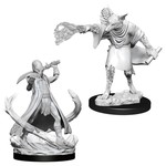 Wizkids D&D: Nolzur's Marvelous Miniatures 11: Arcanaloth & Ultroloth