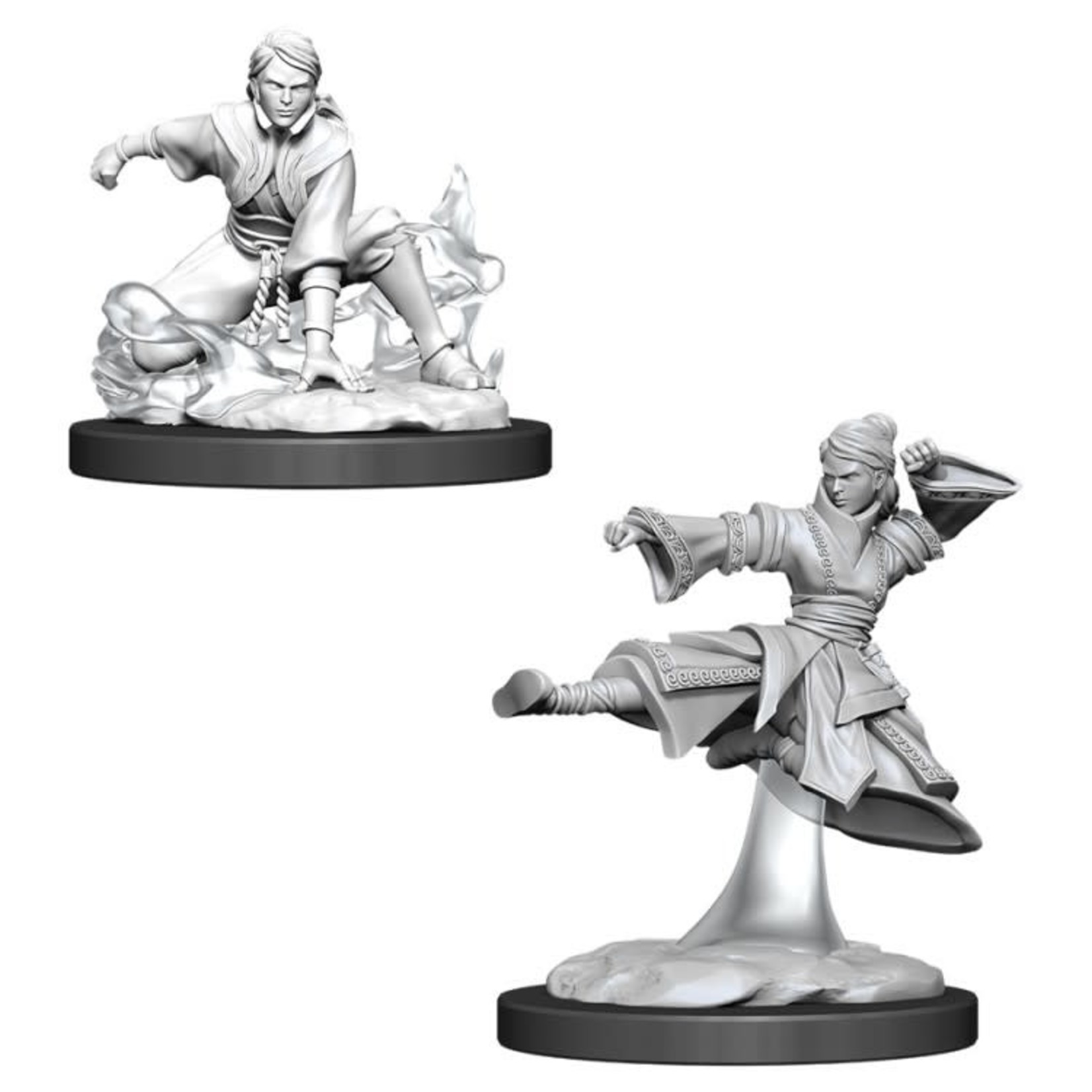 Wizkids D&D: Nolzur's Marvelous Miniatures 11: Female Human Monk