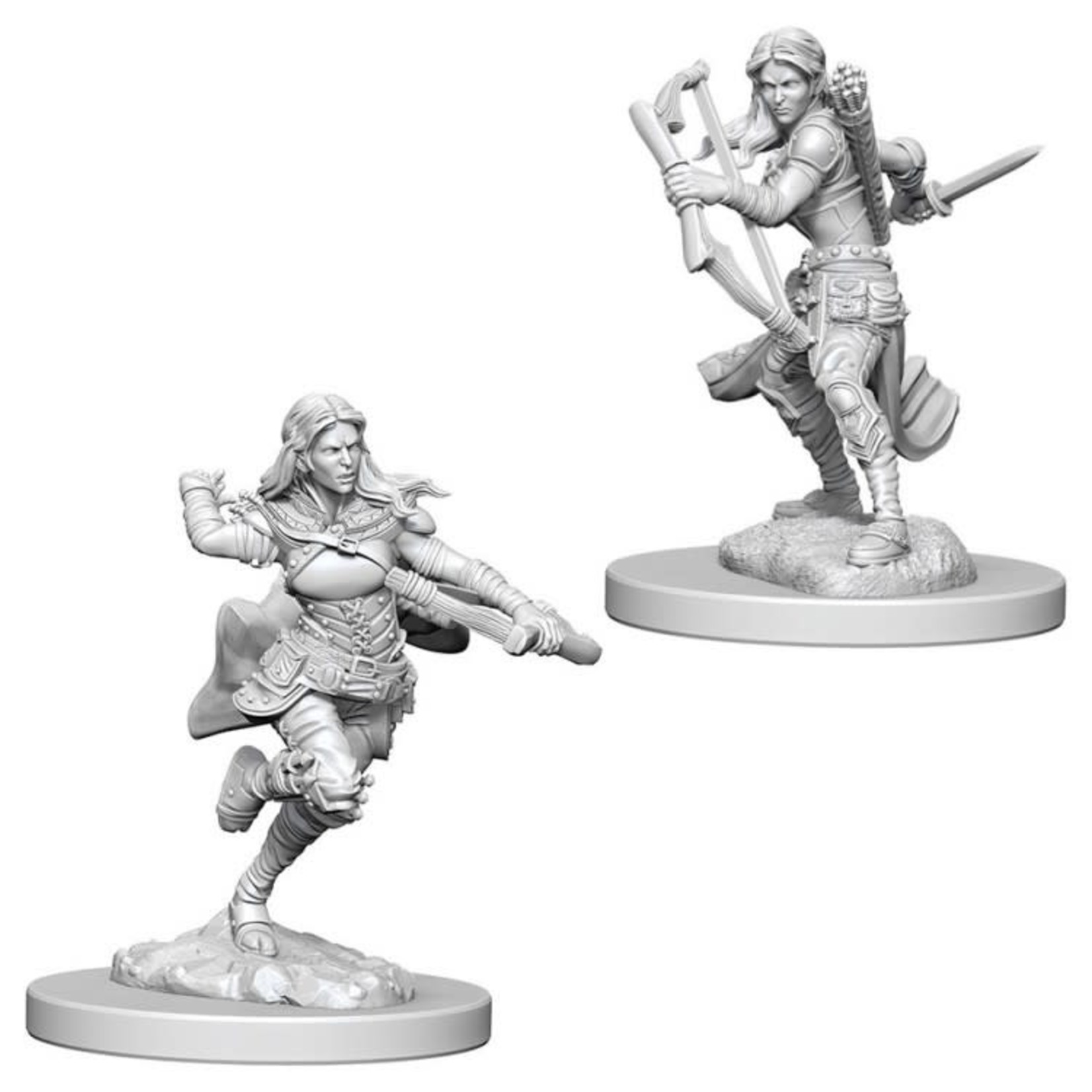 Wizkids D&D: Nolzur's Marvelous Miniatures: Characters Air Genasi Female Rogue--73204