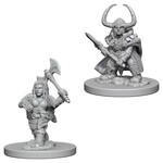 Wizkids D&D: Nolzur's Marvelous Miniatures: Characters Dwarf Female Barbarian--72645