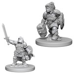 Wizkids D&D: Nolzur's Marvelous Miniatures: Characters Dwarf Female Paladin