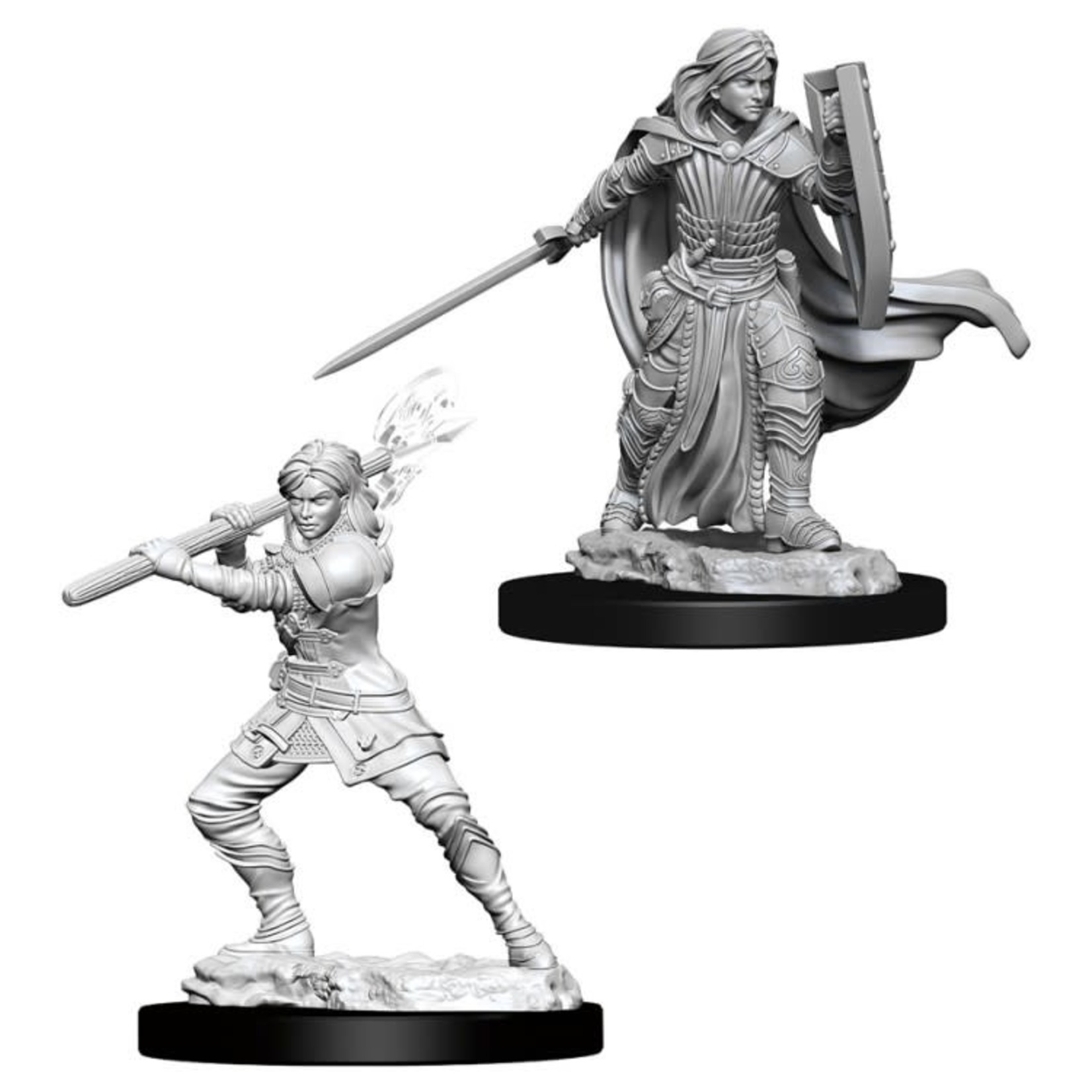 Wizkids D&D: Nolzur's Marvelous Miniatures: Characters Female Human Paladin