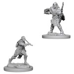 Wizkids D&D: Nolzur's Marvelous Miniatures: Characters Male Elf Fighter--73384