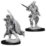 Wizkids D&D: Nolzur's Marvelous Miniatures: Characters Male Elf Rogue--73539