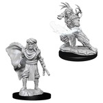 Wizkids D&D: Nolzur's Marvelous Miniatures: Characters Male Human Druid--73390