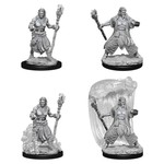 Wizkids D&D: Nolzur's Marvelous Miniatures: Characters Water Genasi Male Druid--73337