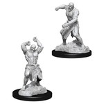 Wizkids D&D: Nolzur's Marvelous Miniatures: Creatures Flesh Golem--783400