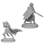 Wizkids Pathfinder Deep Cuts Characters Elf Male Paladin--72608