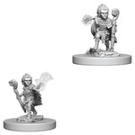 Wizkids Pathfinder Deep Cuts Characters Gnome Male Druid--73346