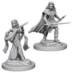 Wizkids Pathfinder Deep Cuts Characters Human Female Bard 72610