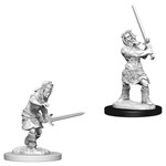 Wizkids Pathfinder Deep Cuts Characters Male Human Barbarian--73413