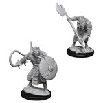 Wizkids Pathfinder Deep Cuts Creatures Gnolls--72582