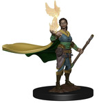 Wizkids D&D Icons of the Realms Premium Figures 73821: Female Elf Druid