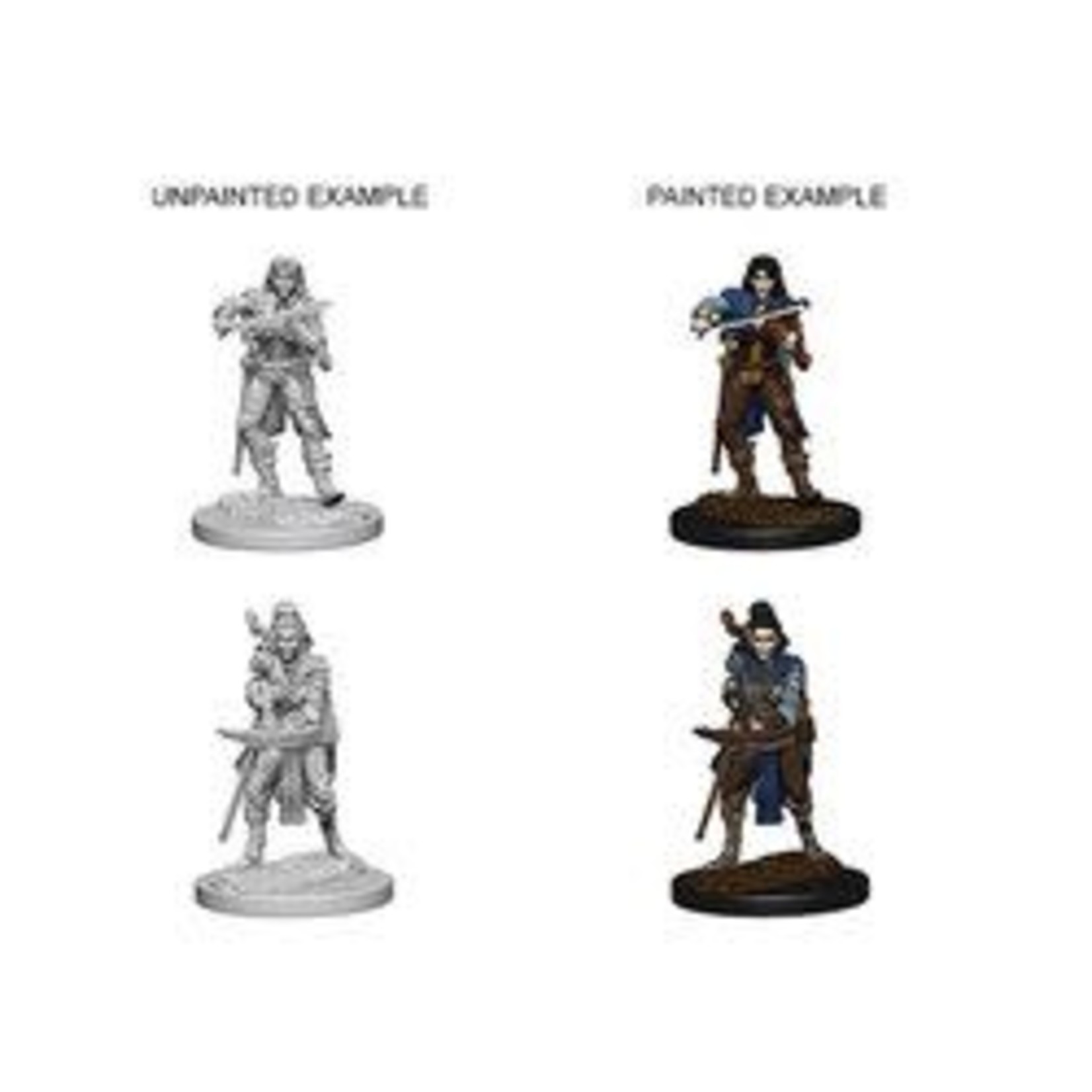 Wizkids Pathfinder Deep Cuts Characters Elf Female Bard--72611