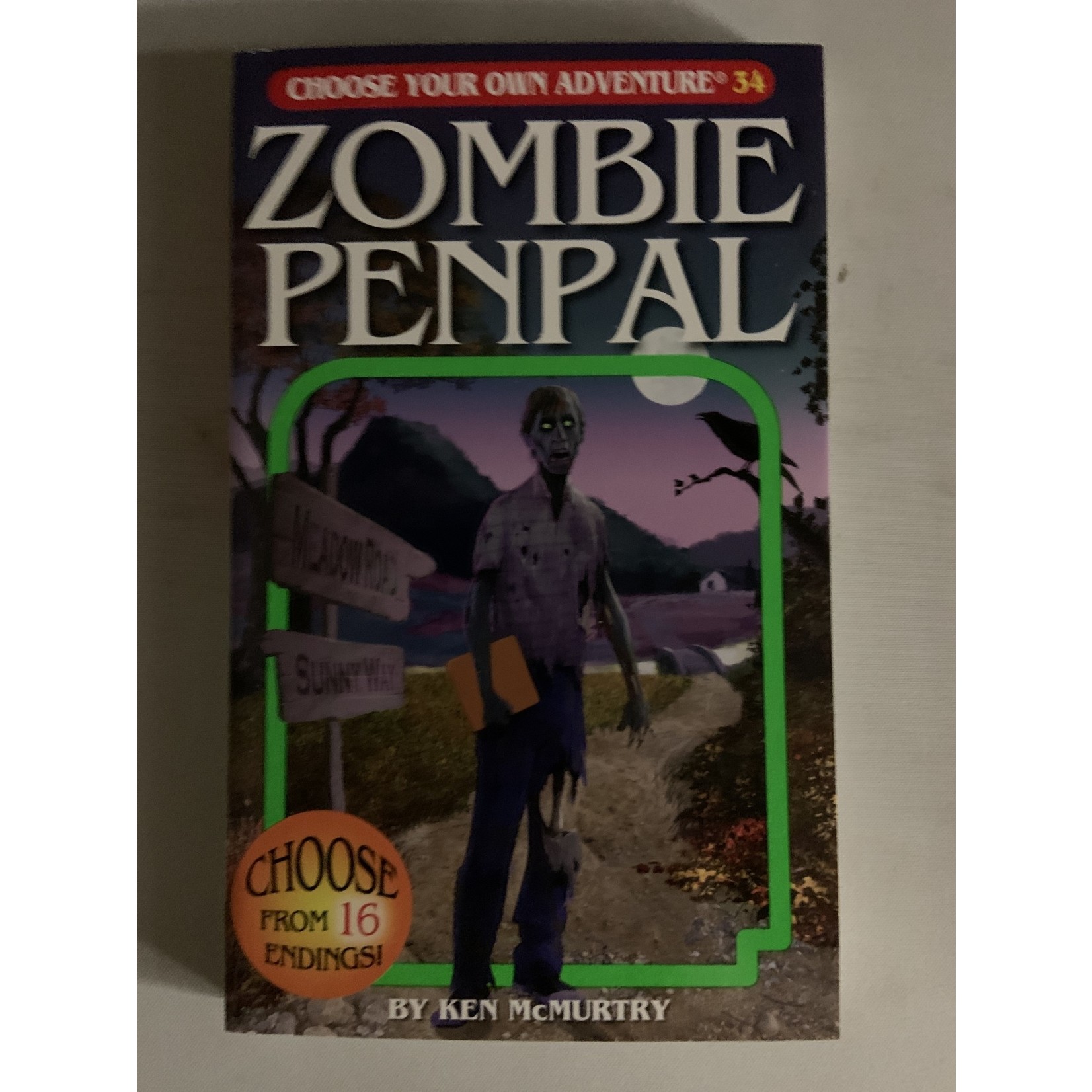 Choose Your Own Adventure CYOA: Zombie Penpal