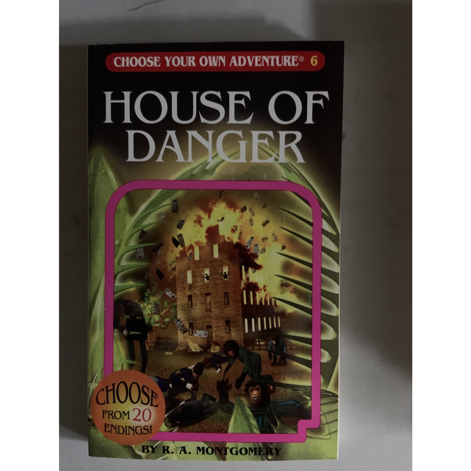 Choose Your Own Adventure CYOA: House of Danger