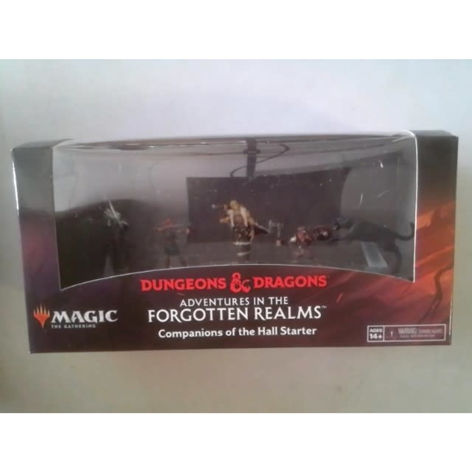 Wizards of the Coast Dungeons and Dragons Companions of the hall Starter