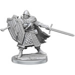 Wizkids D&D Frameworks M-HUMAN FIGHTER