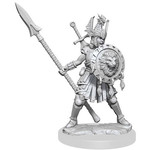 Wizkids D&D Frameworks F-HUMAN FIGHTER