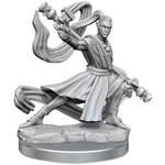 Wizkids D&D Frameworks M-ELF MONK