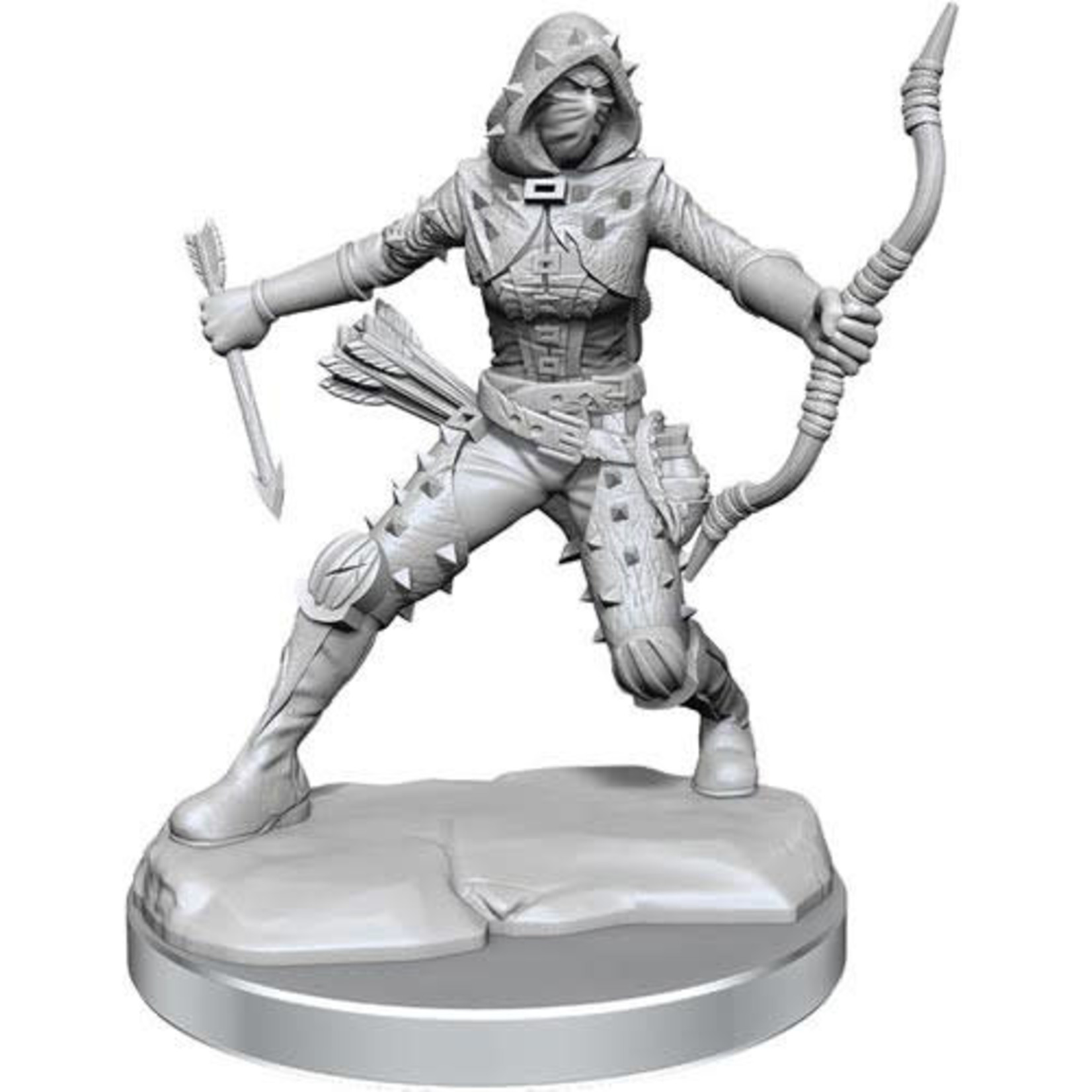 Wizkids D&D Frameworks F HUMAN ROGUE