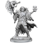 Wizkids D&D Frameworks M HUMAN WARLOCK