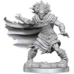 Wizkids D&D Frameworks WIGHT