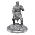 Wizkids D&D: Nolzur's Marvelous Miniatures 17: Flesh Golems
