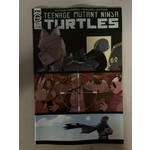 IDW PUBLISHING Tmnt Ongoing 2015 #120 Cvr A Nishijima