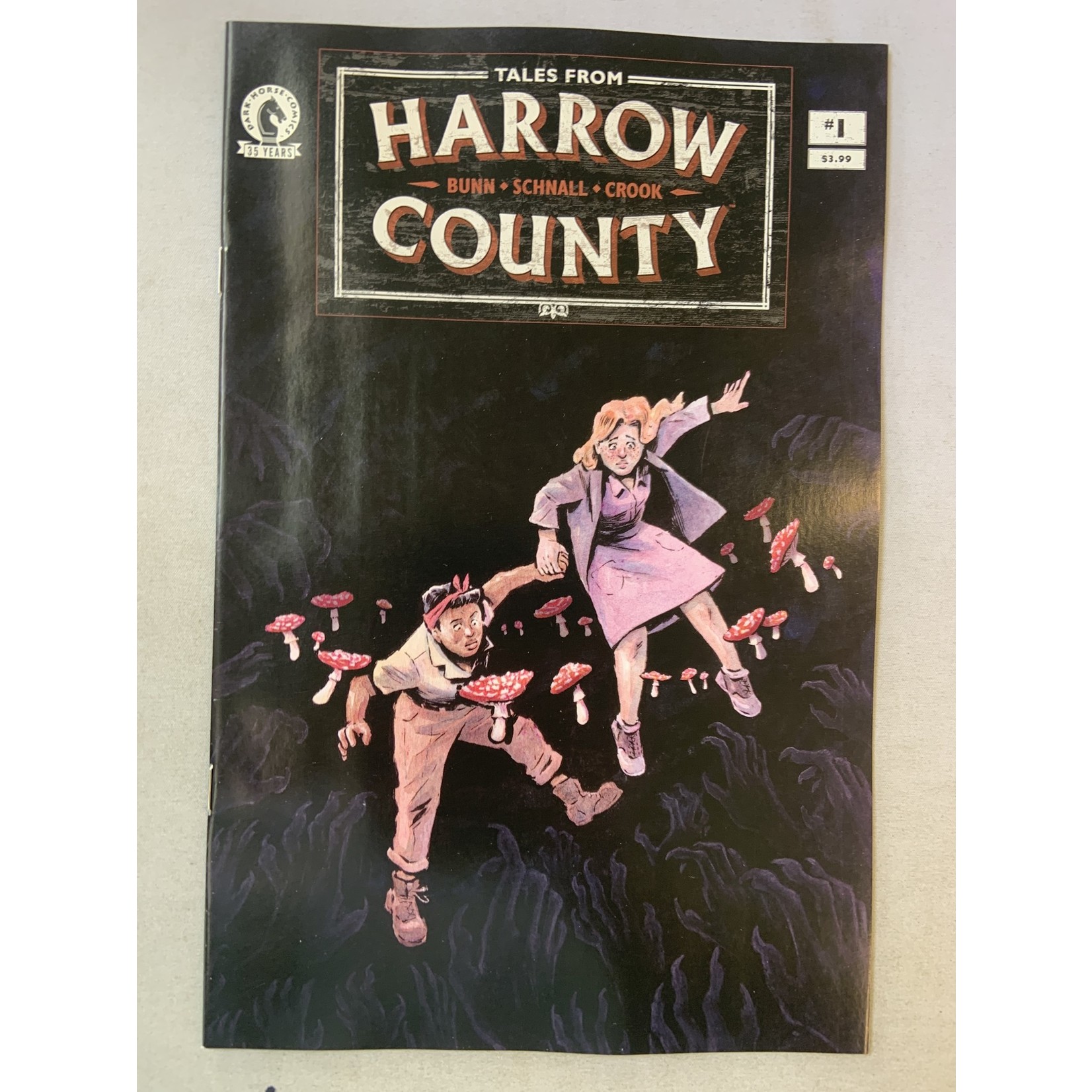 DARK HORSE COMICS Tales From Harrow County Fair Folk 2021 #1 (Of 4) Cvr A Schnall