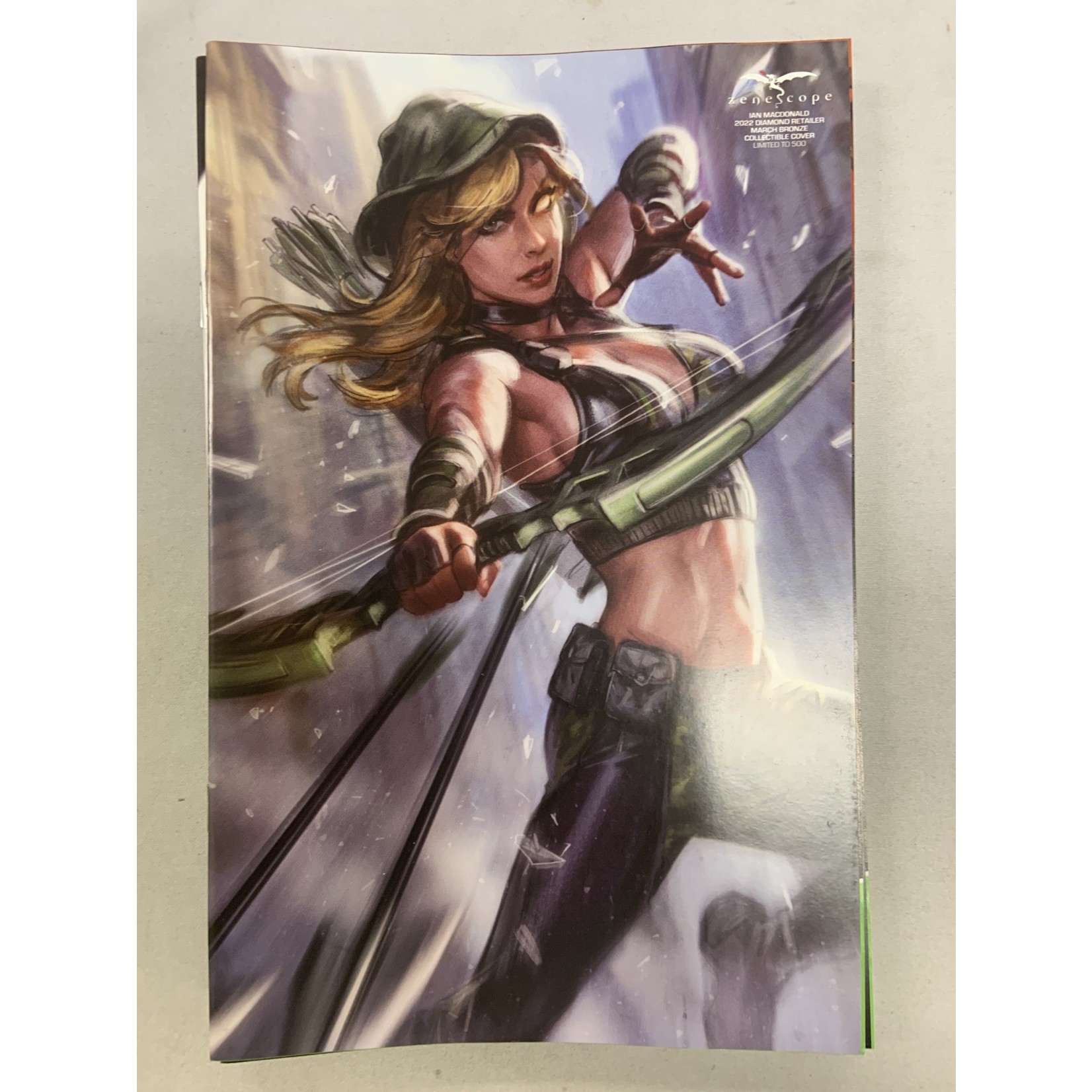ZENESCOPE ENTERTAINMENT INC Robyn Hood Shadows Of Past Oneshot 2022 #1 Grimm Universe Retailer Program Mar 2022 Bronze Exc (Net)