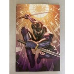 VALIANT ENTERTAINMENT LLC Ninjak 2021 #1 Cvr F 25 Copy Incv Nakayama
