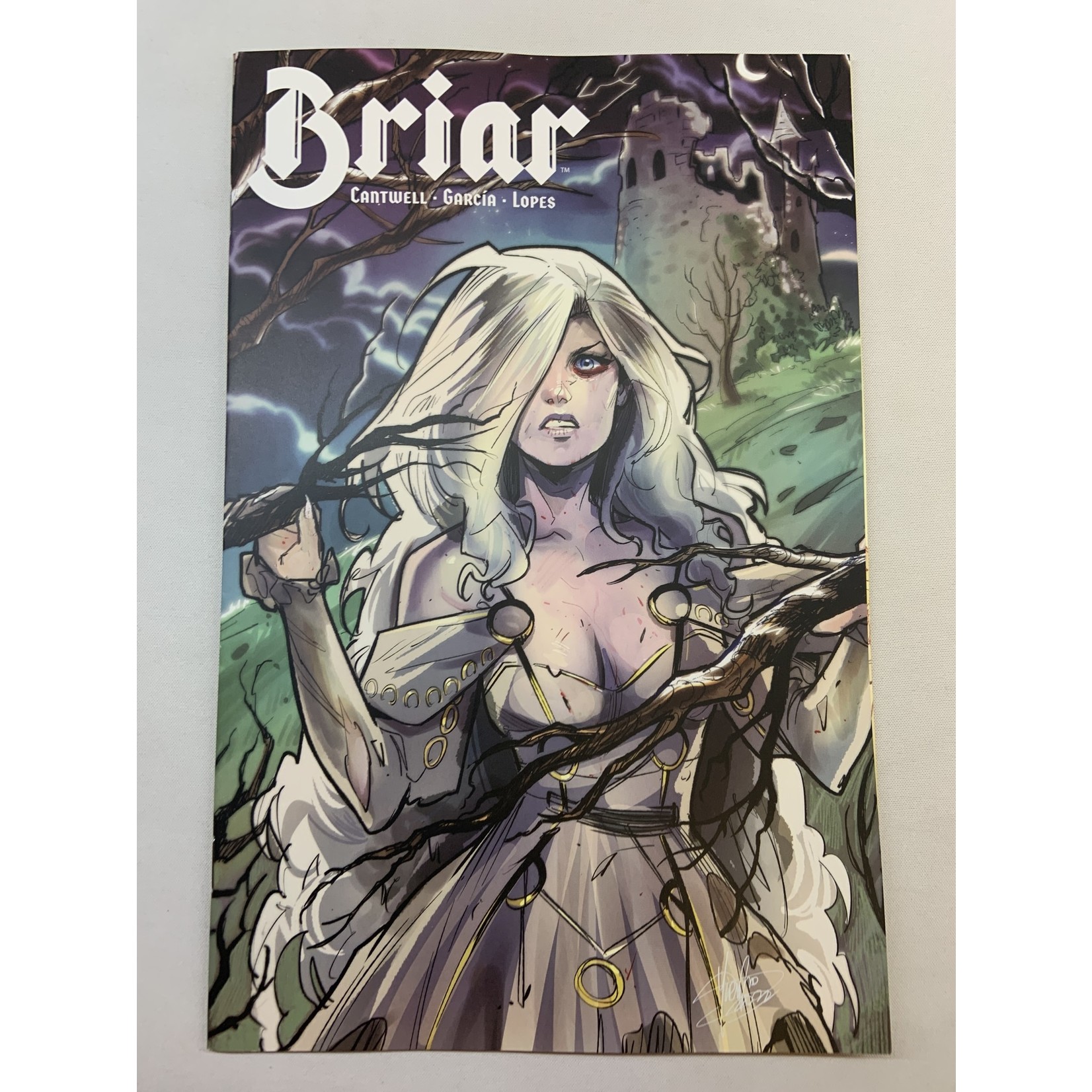 BOOM! STUDIOS Briar 2022 #1 (Of 4) Cvr C Andolfo