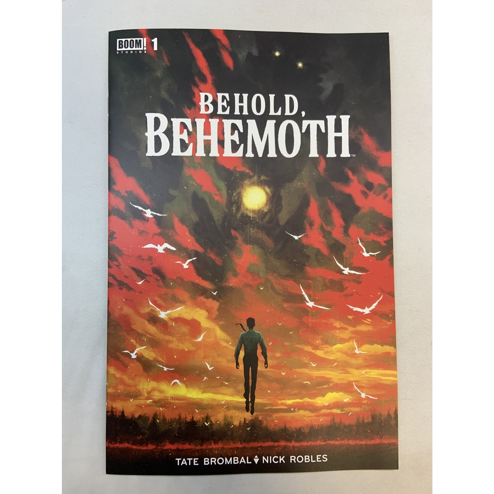 BOOM! STUDIOS Behold Behemoth 2022 #1 (Of 5) Cvr A Robles